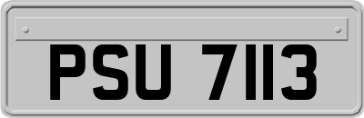 PSU7113