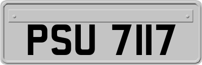 PSU7117