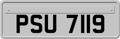 PSU7119