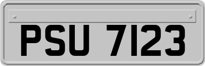 PSU7123