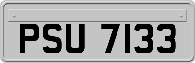 PSU7133