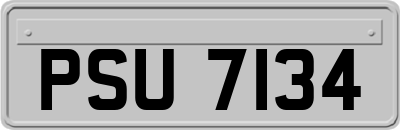PSU7134