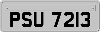PSU7213