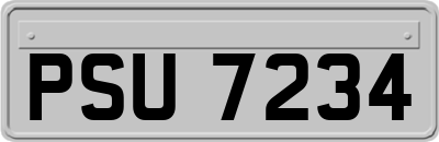 PSU7234