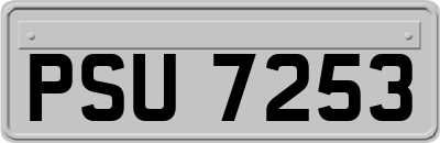 PSU7253