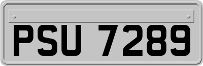 PSU7289