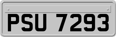 PSU7293