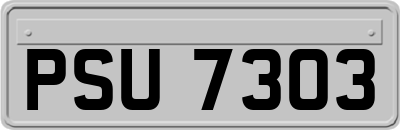 PSU7303