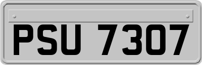 PSU7307