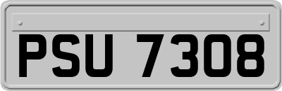 PSU7308