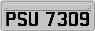 PSU7309