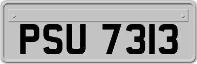 PSU7313
