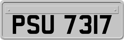 PSU7317