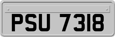 PSU7318