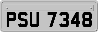 PSU7348