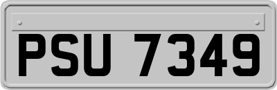 PSU7349