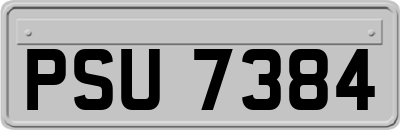 PSU7384