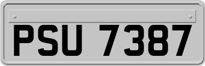 PSU7387