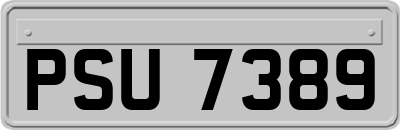 PSU7389