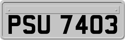 PSU7403