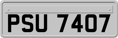 PSU7407