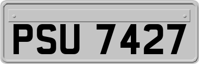 PSU7427