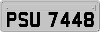 PSU7448