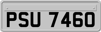 PSU7460