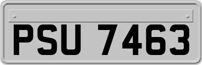 PSU7463