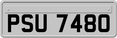 PSU7480