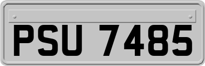 PSU7485