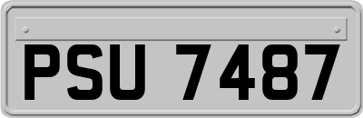 PSU7487