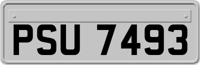 PSU7493