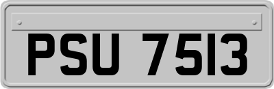 PSU7513