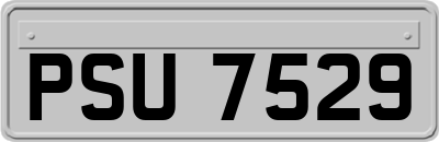 PSU7529