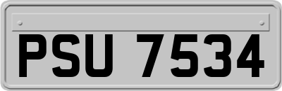 PSU7534