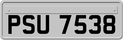 PSU7538
