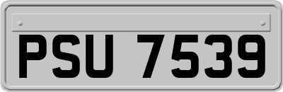 PSU7539