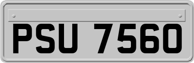PSU7560