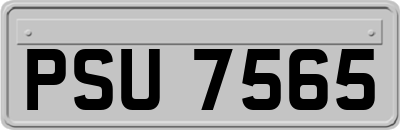 PSU7565