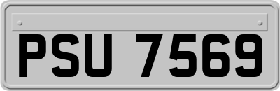 PSU7569