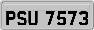 PSU7573