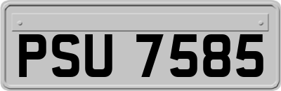 PSU7585