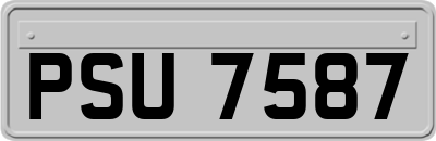PSU7587
