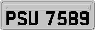 PSU7589