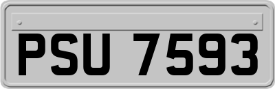 PSU7593
