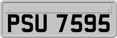 PSU7595