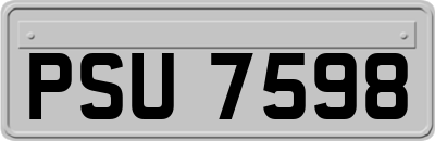 PSU7598