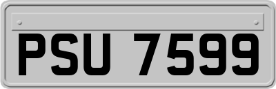 PSU7599