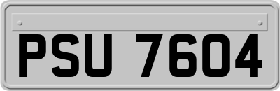 PSU7604